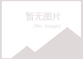 白银平川迷茫工程有限公司